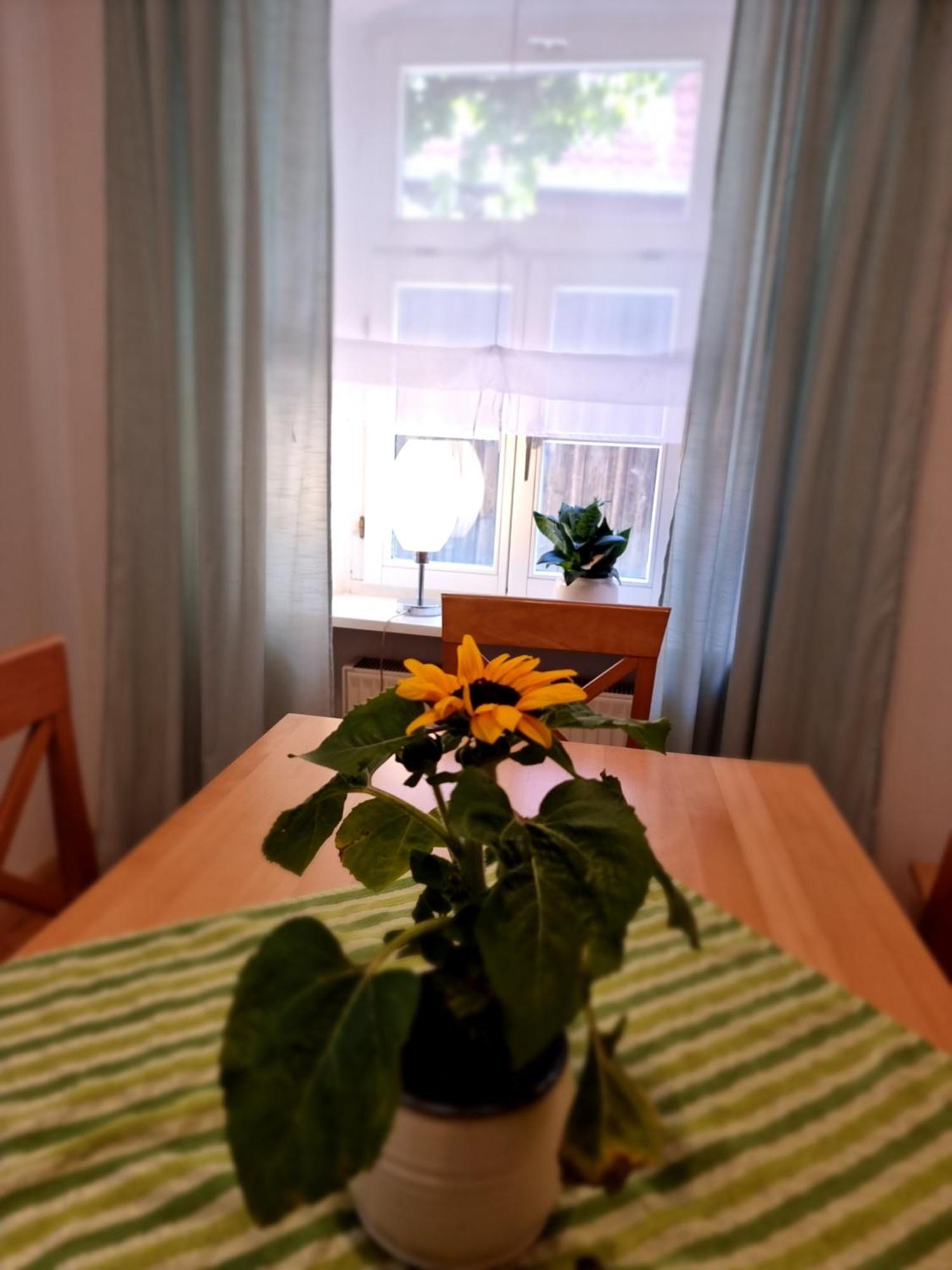 Ferienwohnung Boehm Segnitz Habitación foto